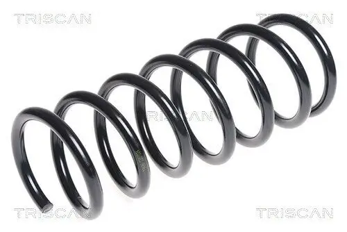 Fahrwerksfeder Hinterachse TRISCAN 8750 2794