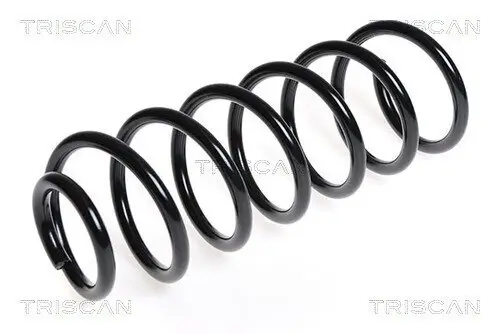 Fahrwerksfeder Hinterachse TRISCAN 8750 28131