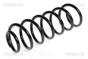 Fahrwerksfeder Hinterachse TRISCAN 8750 28131