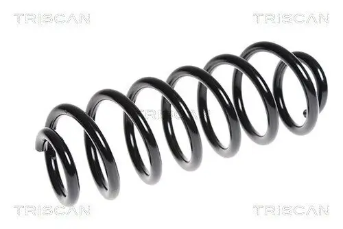 Fahrwerksfeder Hinterachse TRISCAN 8750 28137