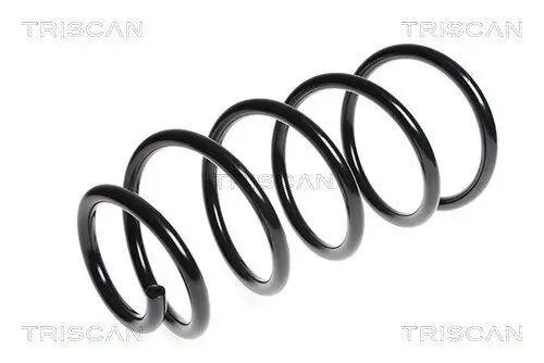Fahrwerksfeder Vorderachse TRISCAN 8750 28146