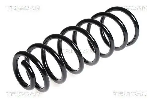 Fahrwerksfeder Hinterachse TRISCAN 8750 28165
