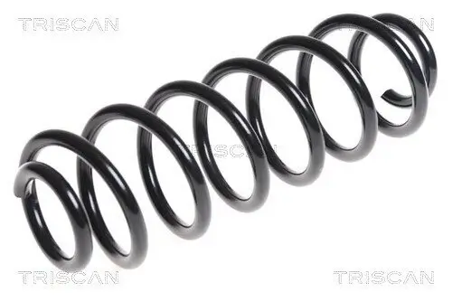 Fahrwerksfeder Hinterachse TRISCAN 8750 28179