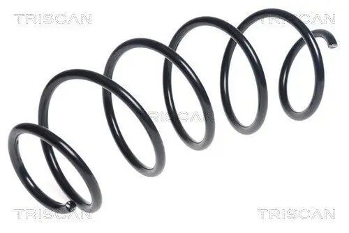Fahrwerksfeder Vorderachse TRISCAN 8750 28255