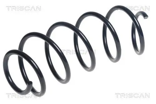 Fahrwerksfeder Vorderachse TRISCAN 8750 28256