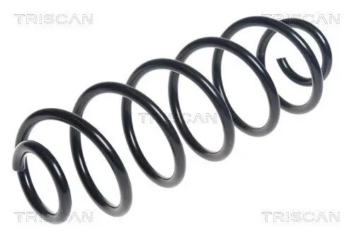 Fahrwerksfeder Hinterachse TRISCAN 8750 28269