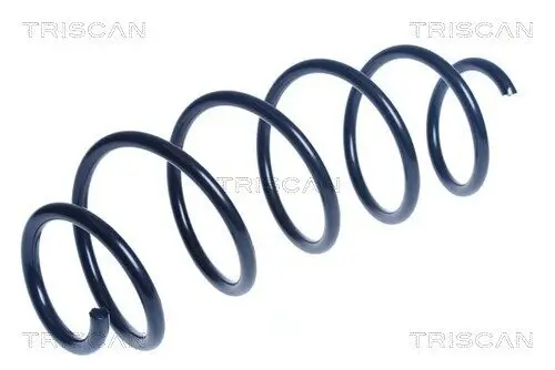 Fahrwerksfeder Vorderachse TRISCAN 8750 28290