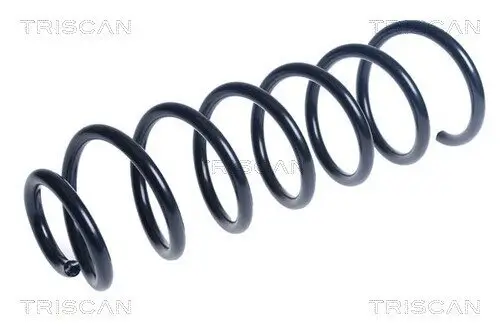 Fahrwerksfeder Hinterachse TRISCAN 8750 28315