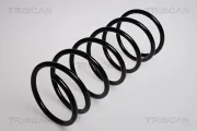 Fahrwerksfeder Vorderachse TRISCAN 8750 2832