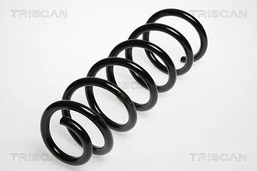 Fahrwerksfeder Hinterachse TRISCAN 8750 2840