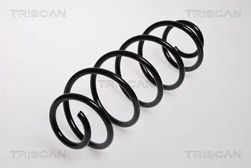 Fahrwerksfeder Hinterachse TRISCAN 8750 2867
