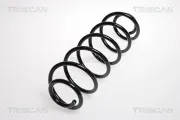Fahrwerksfeder Hinterachse TRISCAN 8750 2897