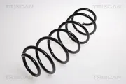 Fahrwerksfeder Vorderachse TRISCAN 8750 2898