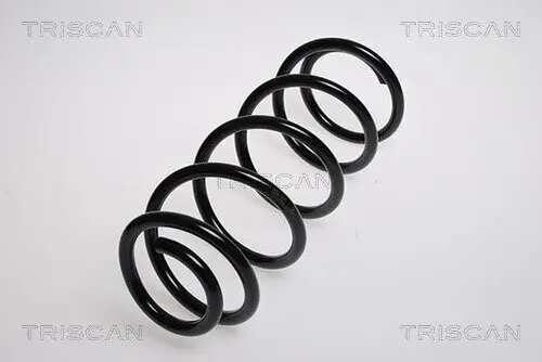Fahrwerksfeder Vorderachse TRISCAN 8750 2899
