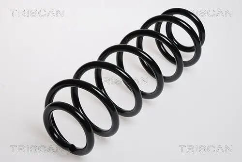 Fahrwerksfeder Hinterachse TRISCAN 8750 29036