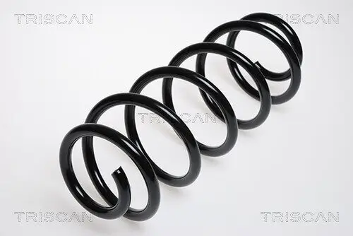 Fahrwerksfeder Vorderachse TRISCAN 8750 29043