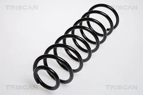 Fahrwerksfeder Hinterachse TRISCAN 8750 29044 Bild Fahrwerksfeder Hinterachse TRISCAN 8750 29044