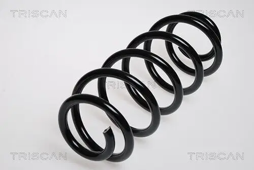 Fahrwerksfeder Vorderachse TRISCAN 8750 29045 Bild Fahrwerksfeder Vorderachse TRISCAN 8750 29045