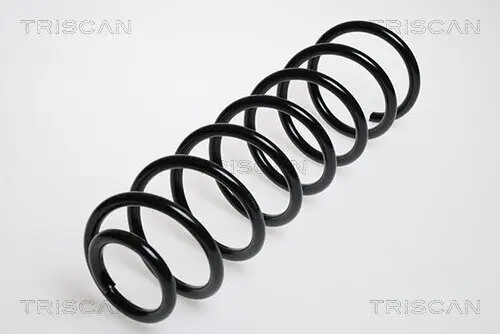 Fahrwerksfeder Hinterachse TRISCAN 8750 29047