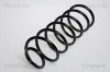Fahrwerksfeder Vorderachse TRISCAN 8750 29055