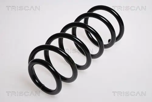 Fahrwerksfeder Hinterachse TRISCAN 8750 29067
