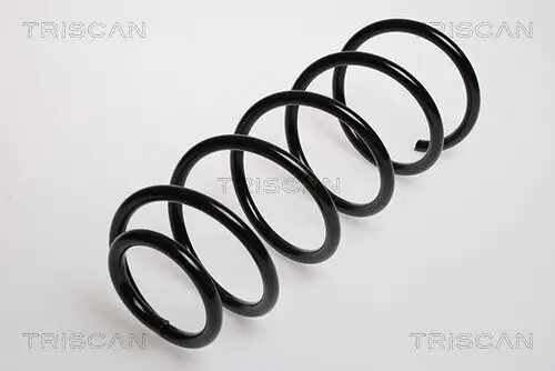 Fahrwerksfeder Vorderachse TRISCAN 8750 29072
