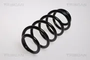 Fahrwerksfeder Vorderachse TRISCAN 8750 29091