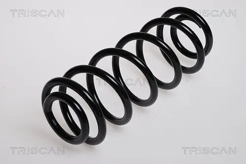 Fahrwerksfeder Hinterachse TRISCAN 8750 29101