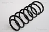 Fahrwerksfeder Vorderachse TRISCAN 8750 29120