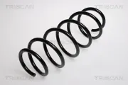 Fahrwerksfeder Vorderachse TRISCAN 8750 29123