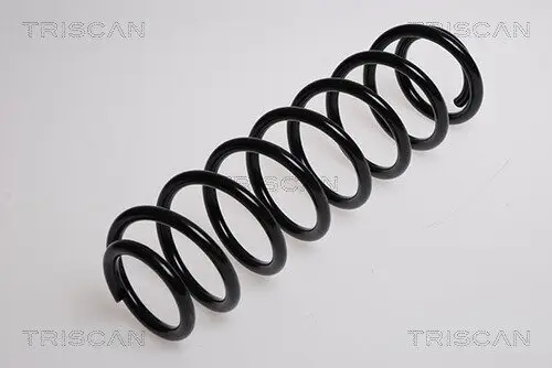 Fahrwerksfeder Hinterachse TRISCAN 8750 29124