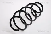 Fahrwerksfeder Vorderachse TRISCAN 8750 29128