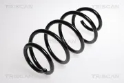 Fahrwerksfeder Vorderachse TRISCAN 8750 29131