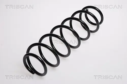Fahrwerksfeder Hinterachse TRISCAN 8750 29134 Bild Fahrwerksfeder Hinterachse TRISCAN 8750 29134
