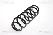 Fahrwerksfeder Hinterachse TRISCAN 8750 29143