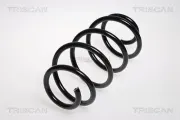Fahrwerksfeder Vorderachse TRISCAN 8750 29145
