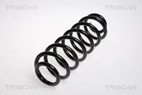 Fahrwerksfeder Hinterachse TRISCAN 8750 29147 Bild Fahrwerksfeder Hinterachse TRISCAN 8750 29147