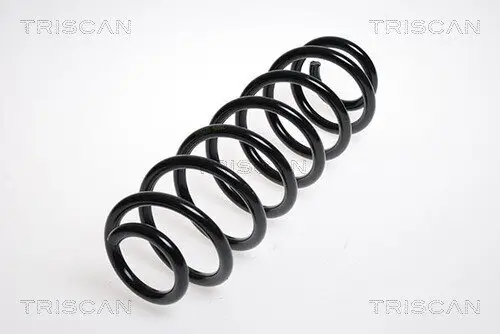 Fahrwerksfeder Hinterachse TRISCAN 8750 29160