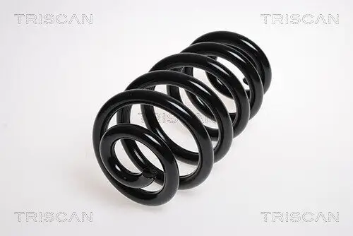 Fahrwerksfeder Hinterachse TRISCAN 8750 29179