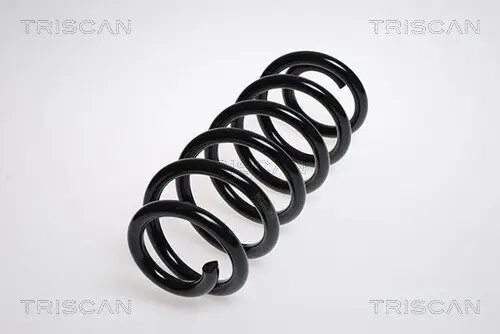 Fahrwerksfeder Vorderachse TRISCAN 8750 29187