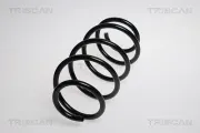 Fahrwerksfeder Vorderachse TRISCAN 8750 29202