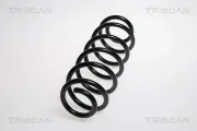 Fahrwerksfeder Hinterachse TRISCAN 8750 29222