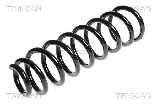 Fahrwerksfeder Hinterachse TRISCAN 8750 29259 Bild Fahrwerksfeder Hinterachse TRISCAN 8750 29259