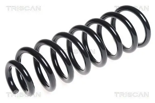 Fahrwerksfeder Vorderachse TRISCAN 8750 29279