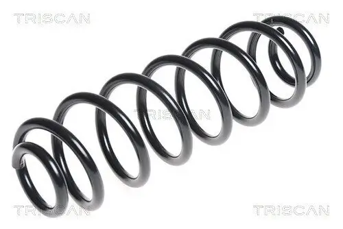 Fahrwerksfeder Hinterachse TRISCAN 8750 29315