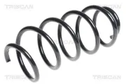 Fahrwerksfeder Vorderachse TRISCAN 8750 29319