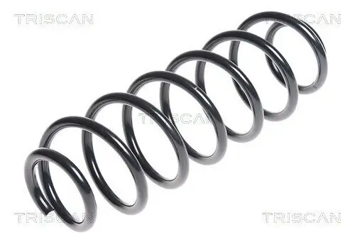Fahrwerksfeder Hinterachse TRISCAN 8750 29328