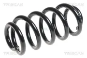 Fahrwerksfeder Vorderachse TRISCAN 8750 29352