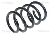 Fahrwerksfeder Vorderachse TRISCAN 8750 29398