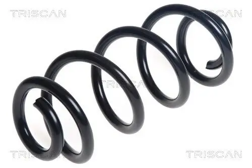 Fahrwerksfeder Hinterachse TRISCAN 8750 29498